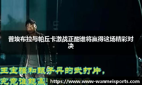 完美体育官方网站